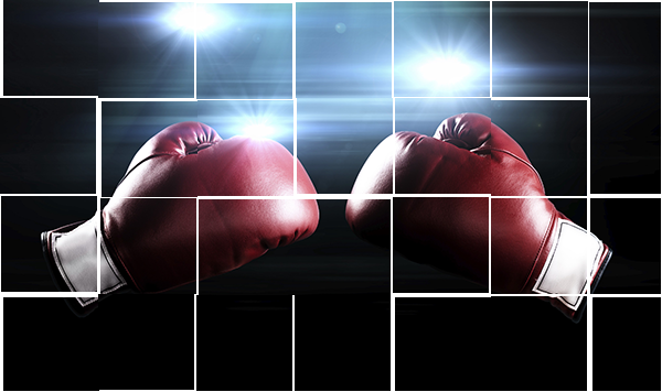Big Data Analytics Capabilities In Boxing