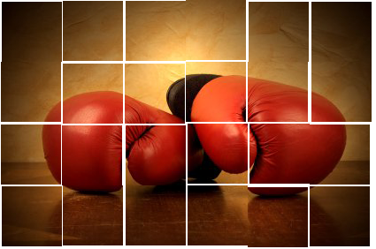 30 удивительных фактов о боксе